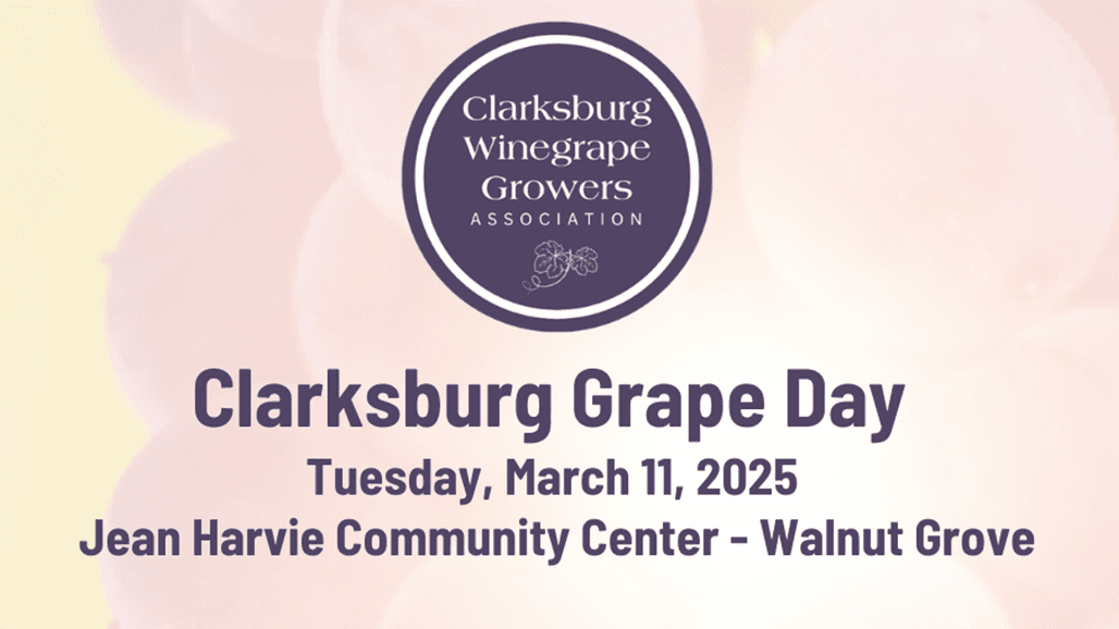 Clarksburg Grape Day