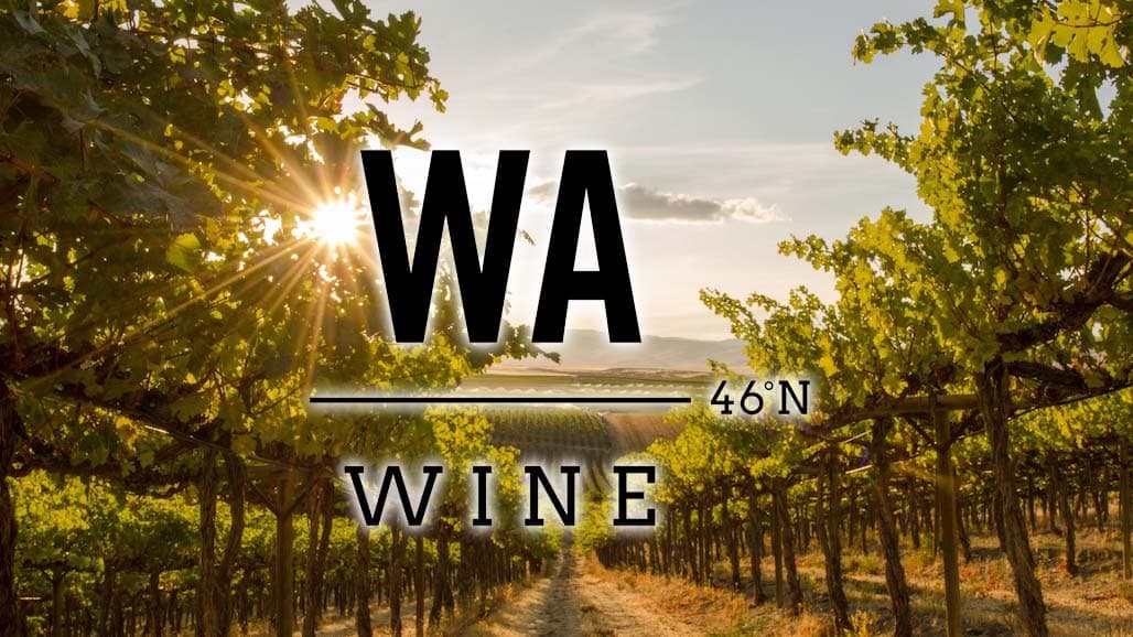 WAVEx Soil Health Insights for Vineyards Webinar
