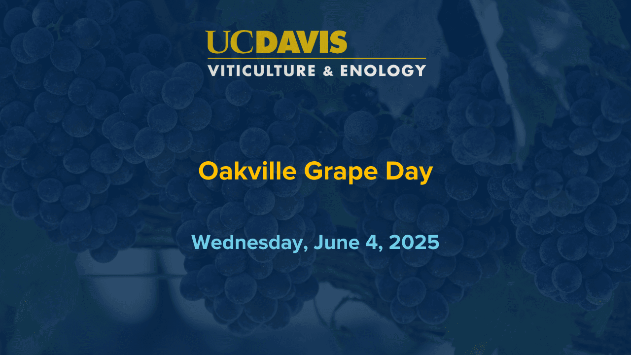UC Davis Oakville Grape Day