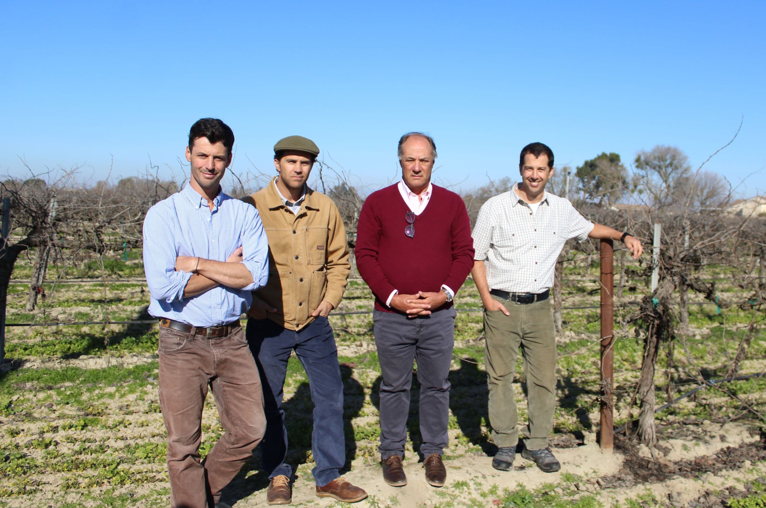 What Growers Should Know about the “New” National Raisin Company, After Chilean Purchase