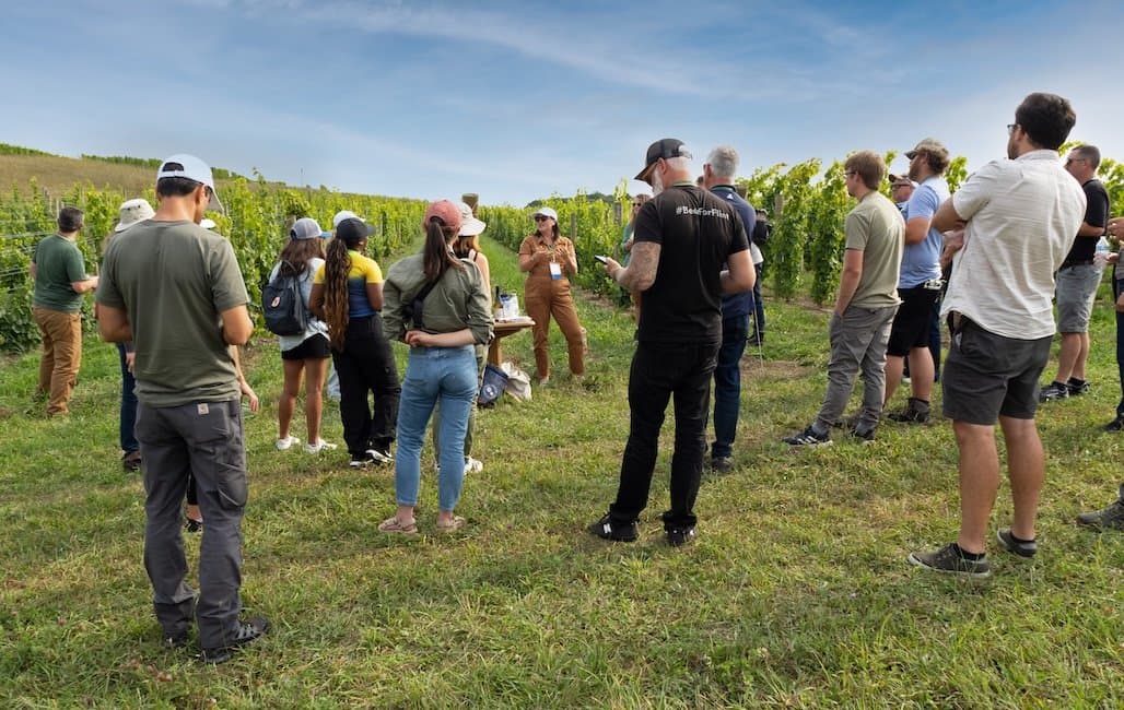Dirt to Glass: Elevating Michigan Wine from the Ground Up