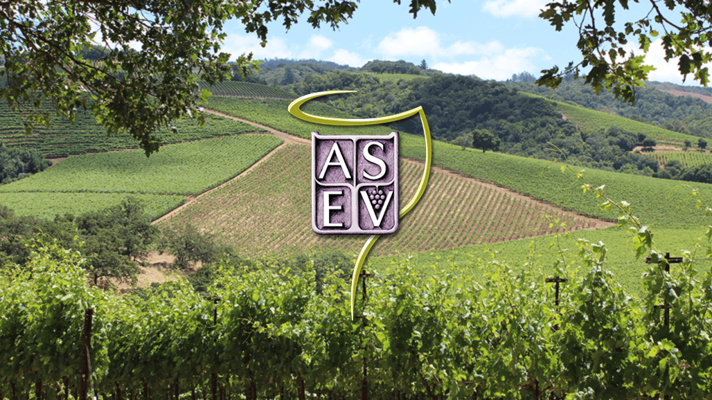 Empower the Next Generation of Wine Leaders – Donations Being Accepted