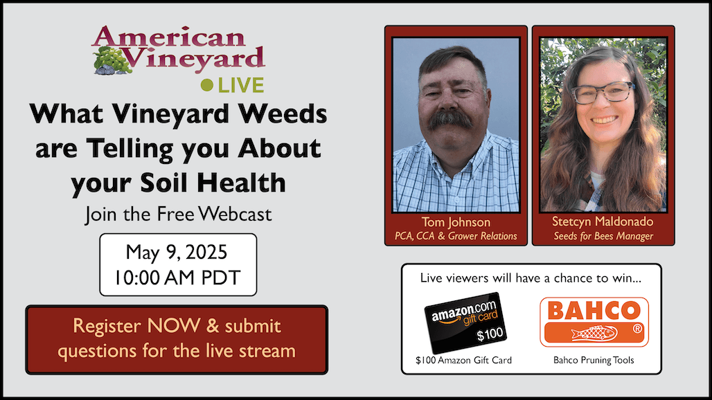 American Vineyard Live: What Weeds are Telling you About your Soil Health