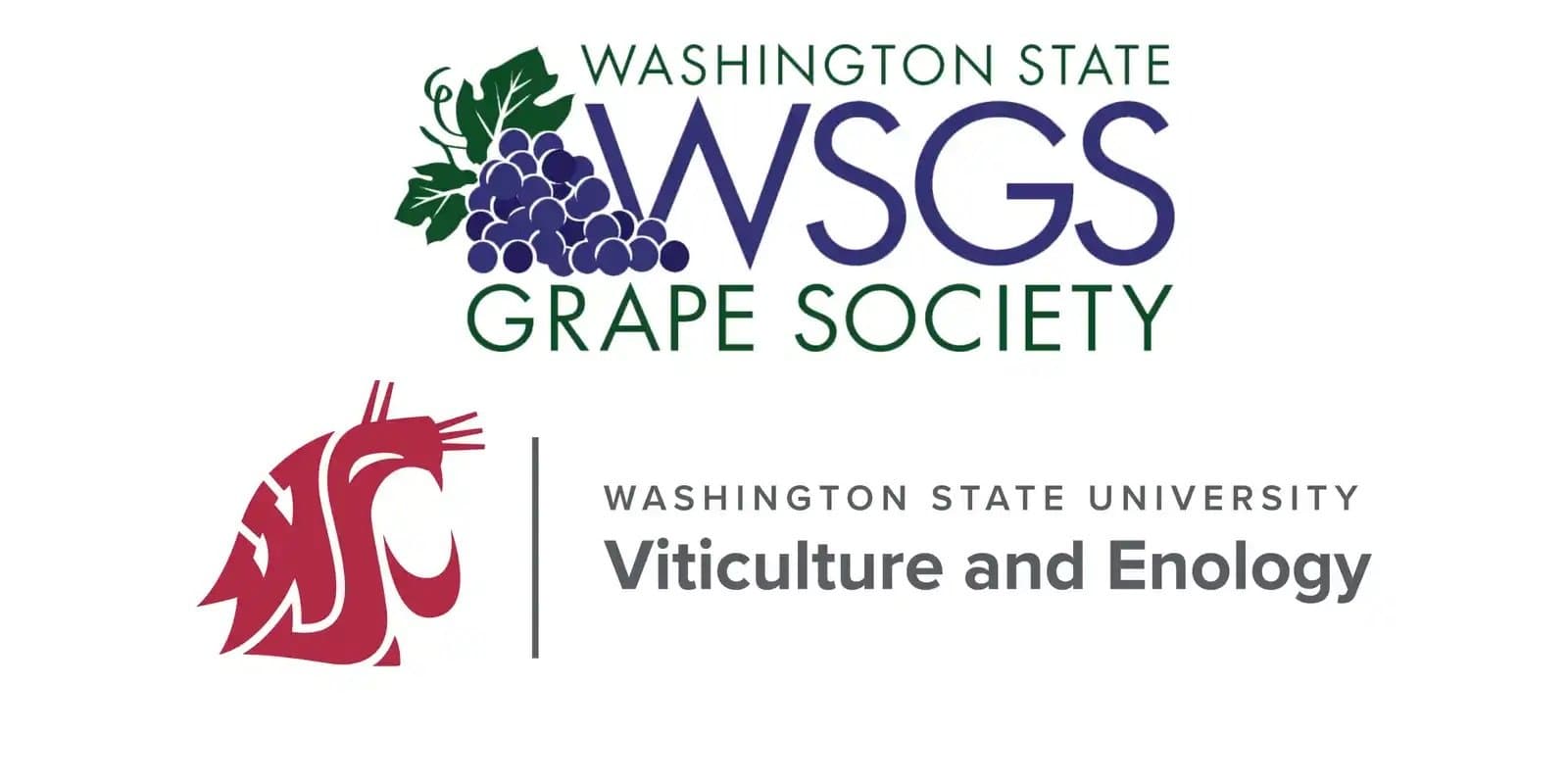 WSU and Washington State Grape Society 2025 Viticulture Field Day