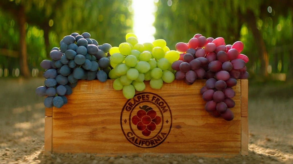 California Table Grape Harvest Kicks off in Coachella