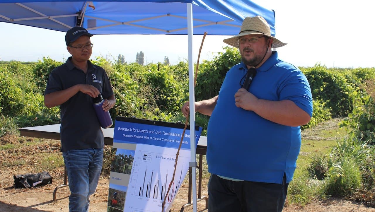 2025 San Joaquin Valley Grapevine Rootstock Field Day