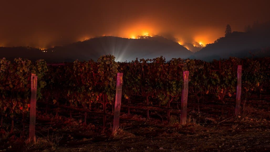 Wildfire Risk Reduction Practices Field Trip