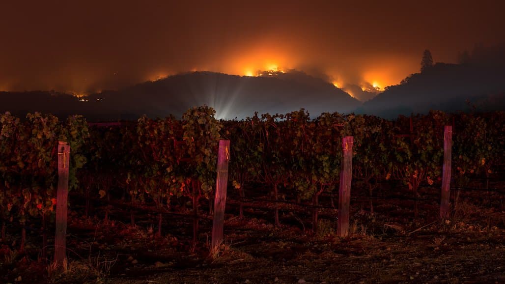 West Coast Smoke Exposure Task Force Fifth Annual Wine Industry Smoke Summit