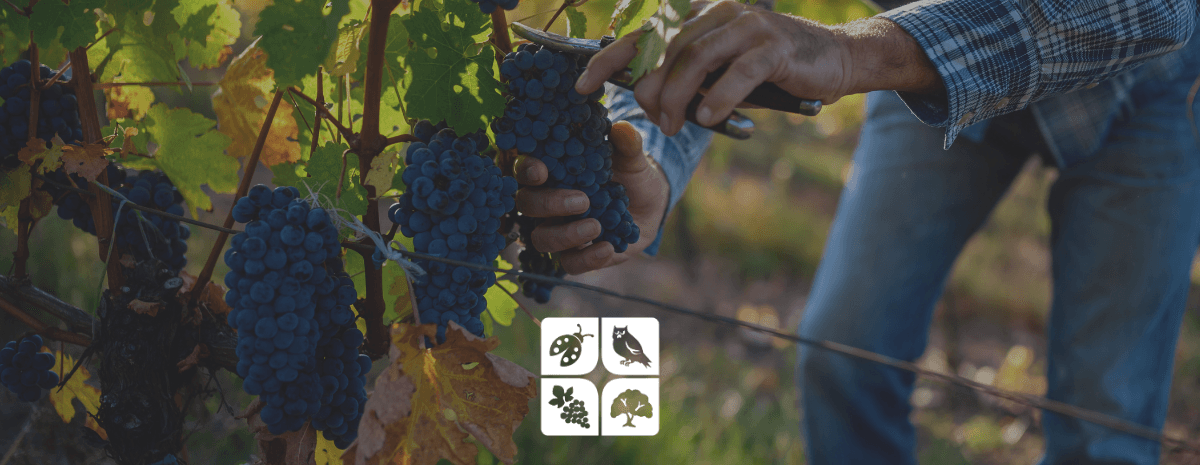 SPANISH Pre-Harvest Safety: Train-the-Trainer