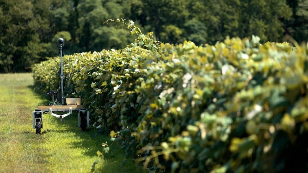 MyEV Translates Complex Spatial Data into Clear Actionable Tasks for Grape Growers