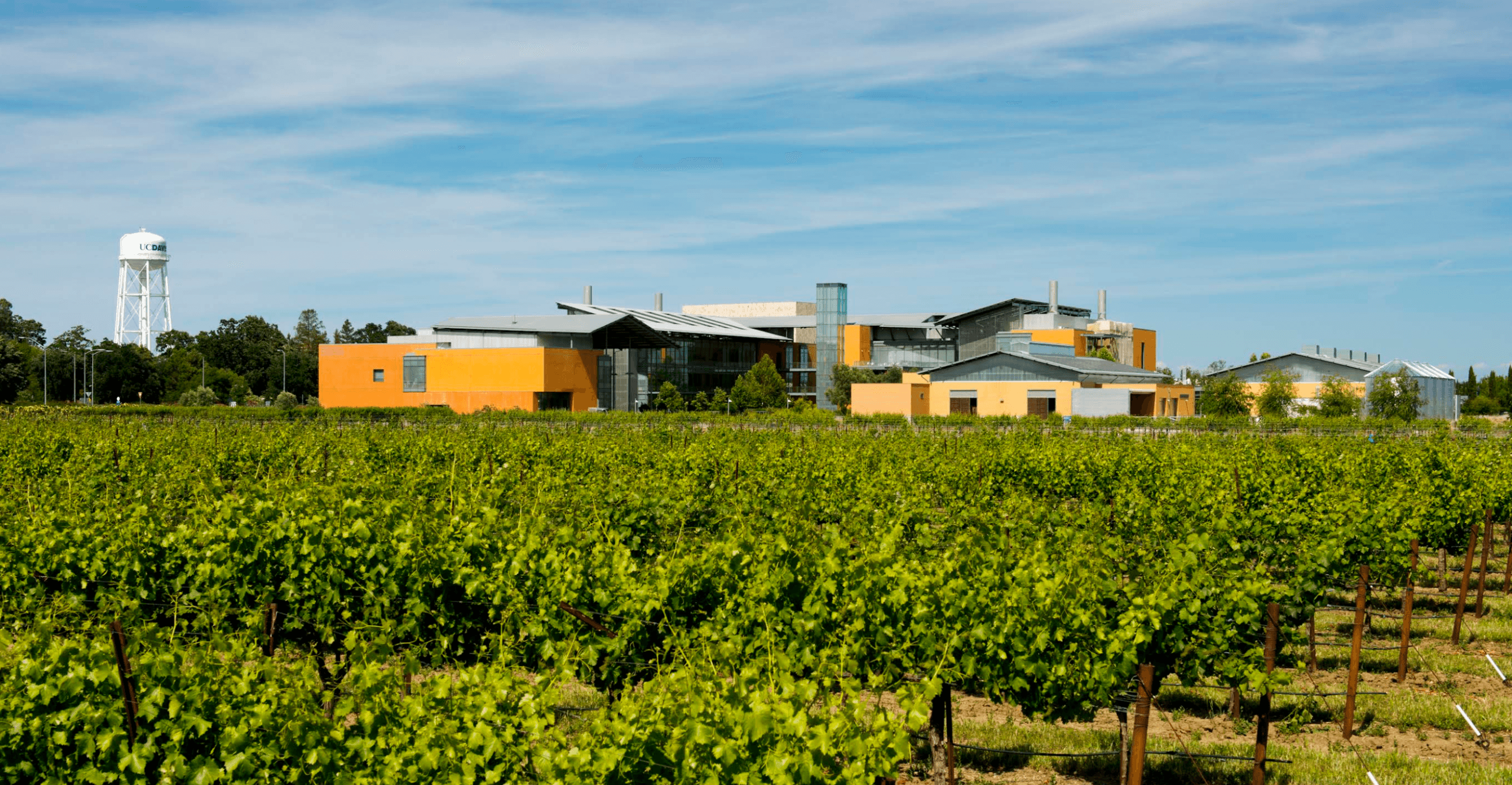 Sonoma County Vineyard Technical Group Field Trip – UC Davis & Wolfskill Repository Bus Tour