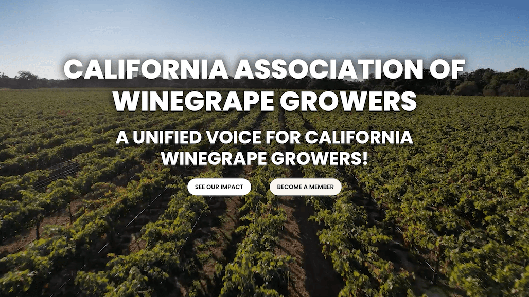 CAWG Launches New Website and Refreshed Logo to Better Serve Growers