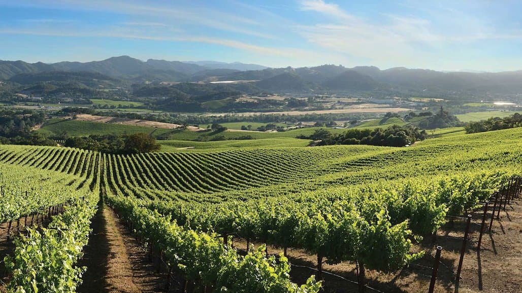 Rodney Strong Wine Estates Announces Leadership Team Promotions