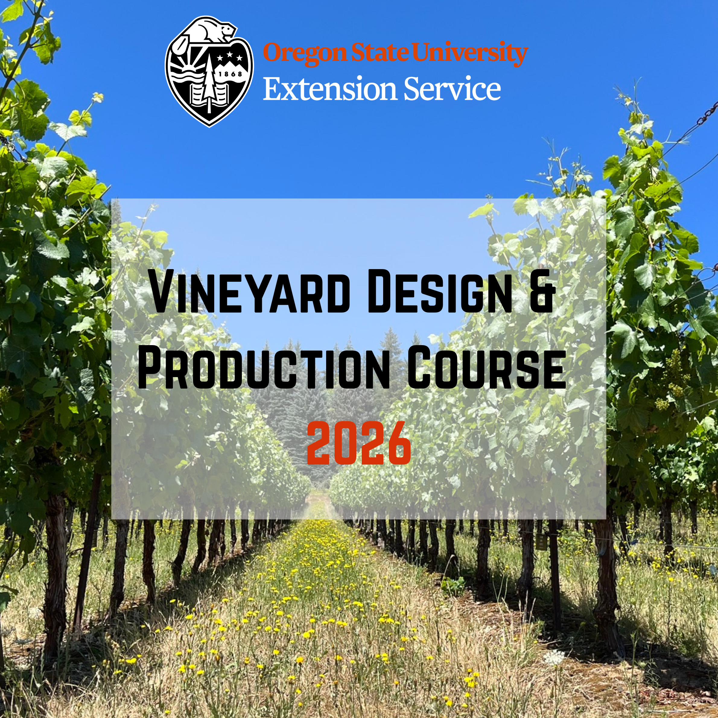 OSU Vineyard Design & Production Course