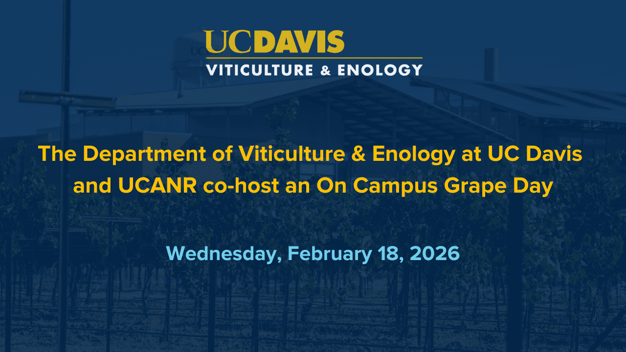 On Campus Grape Day with UC Davis Department of Viticulture & Enology and UC ANR