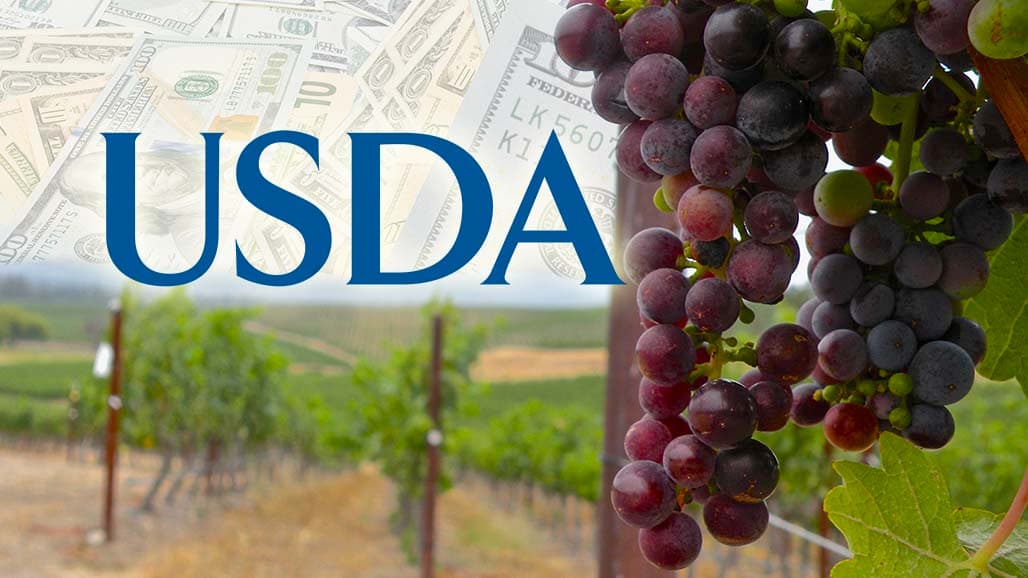 Secretary Rollins Announces $40M in Section 32 Purchases of Grape Juice & Raisins