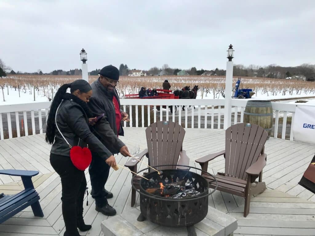31st New York Ice Wine & Culinary Festival