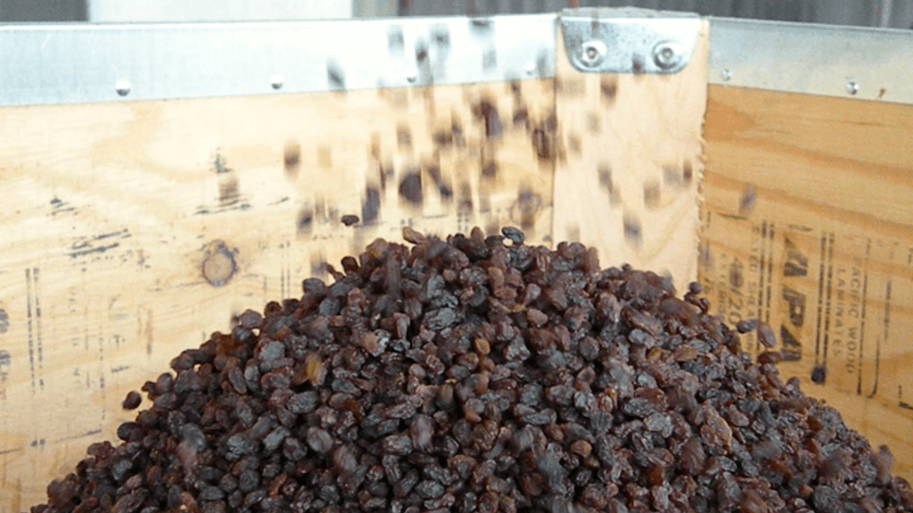 China Raisin Production to Rebound, Quality Improving