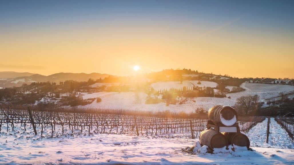 Observations and Bud Hardiness Status in Northwest Michigan Vineyards