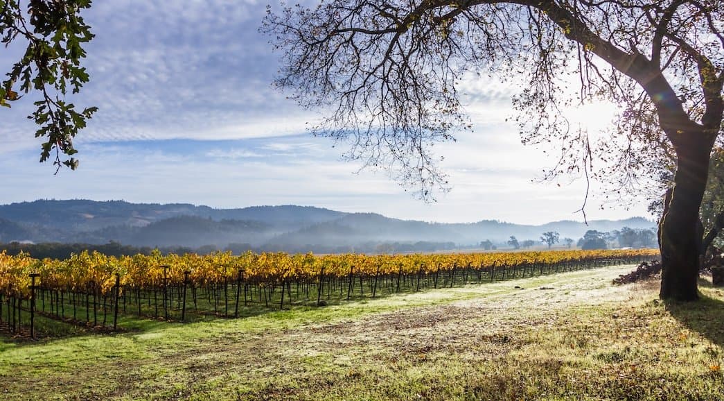 Goldwater Institute: Unconstitutional California Winery Mandate Must End