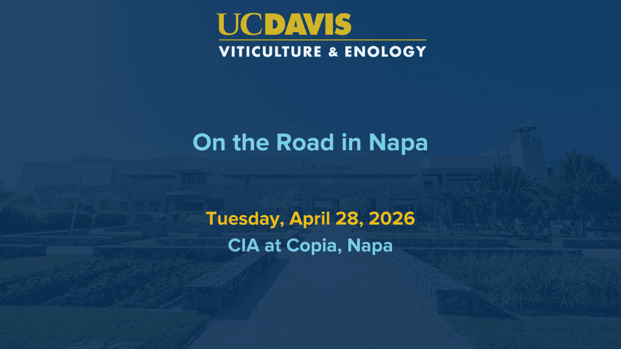 On the Road in Napa