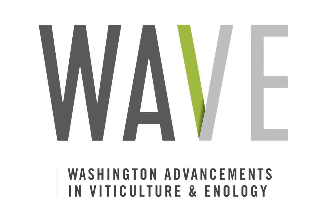 Webinar to Share Heat Mitigation Insights for Washington Vineyards