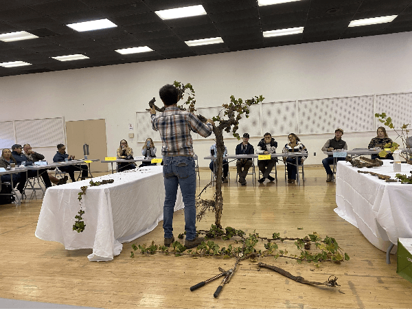 Promoting Effective Integrated Pest Management Practices for the Control of Grapevine Trunk Diseases