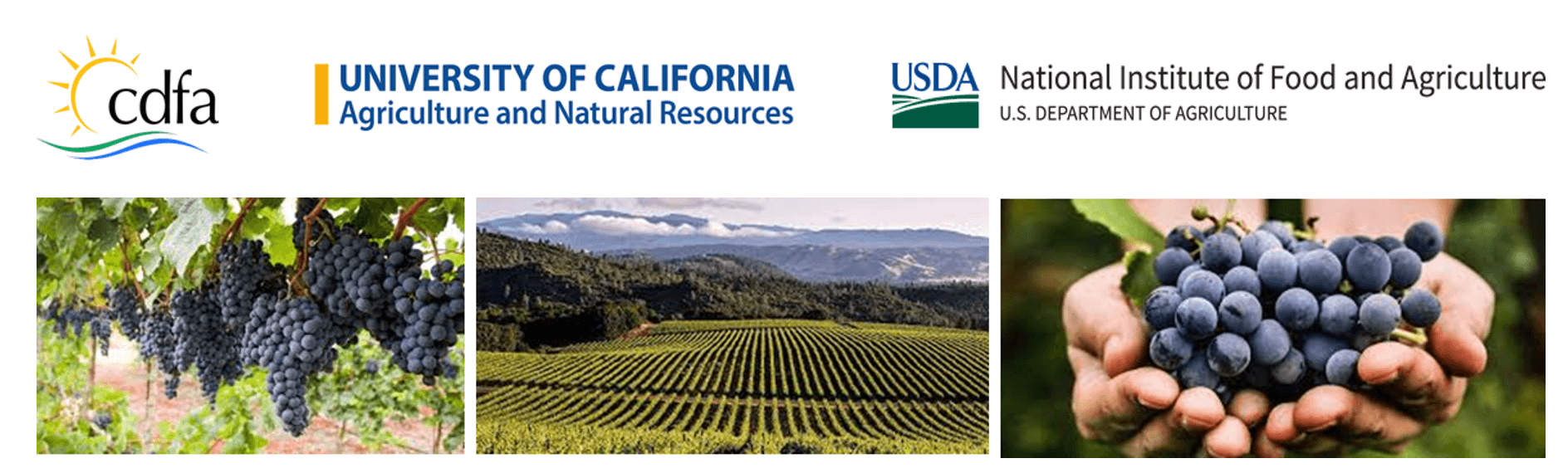 WORKSHOP ON  “BUILDING RESILIENT GRAPEVINE SYSTEMS FOR EXTREME AND  VARIABLE WEATHER CONDITIONS IN THE CENTRAL VALLEY”