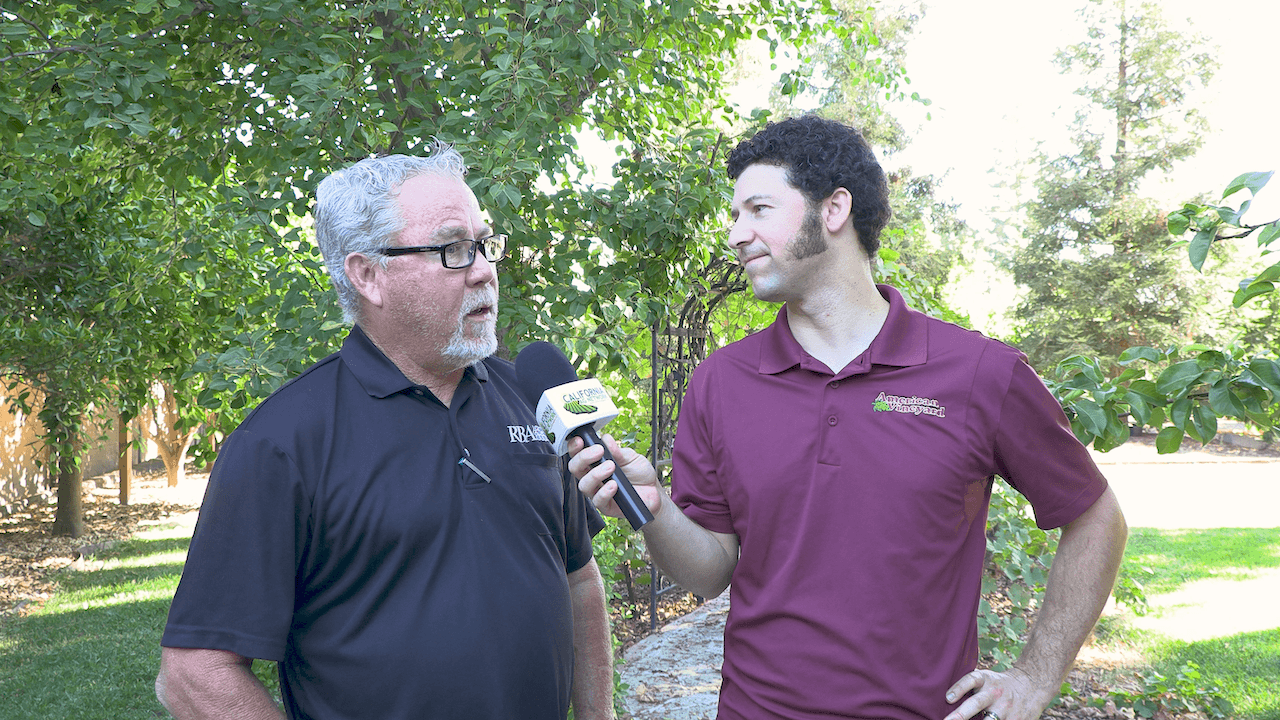 Raisin Bargaining Association Announces Prices for 2026