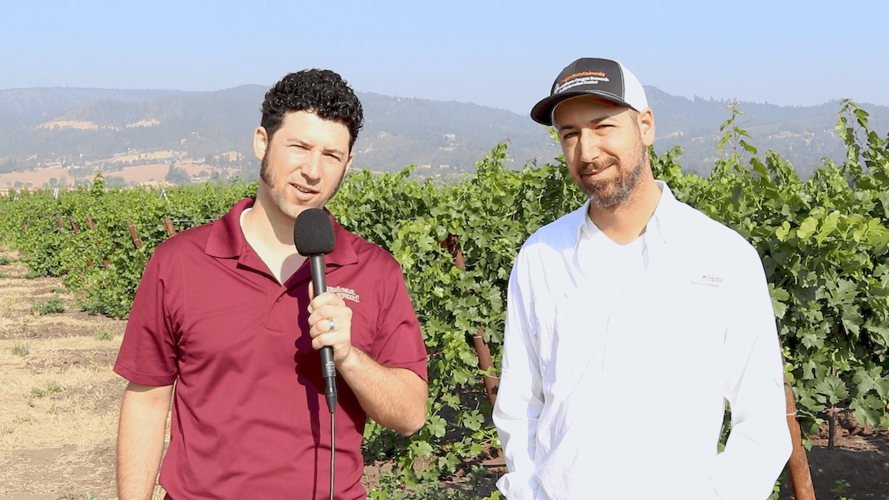 Oregon Grape Growers Had Tough Year
