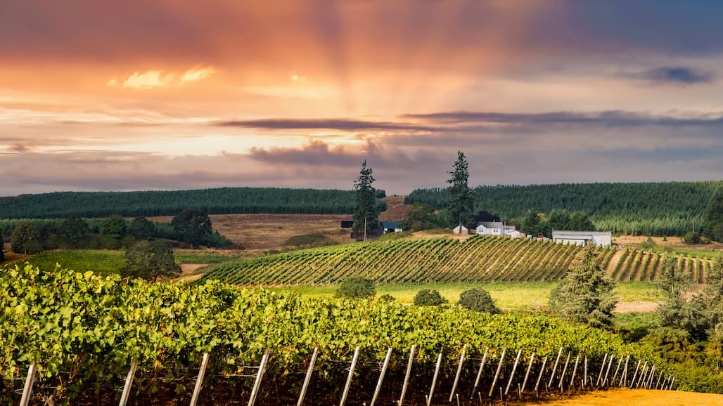 Oregon Wine Industry Awards