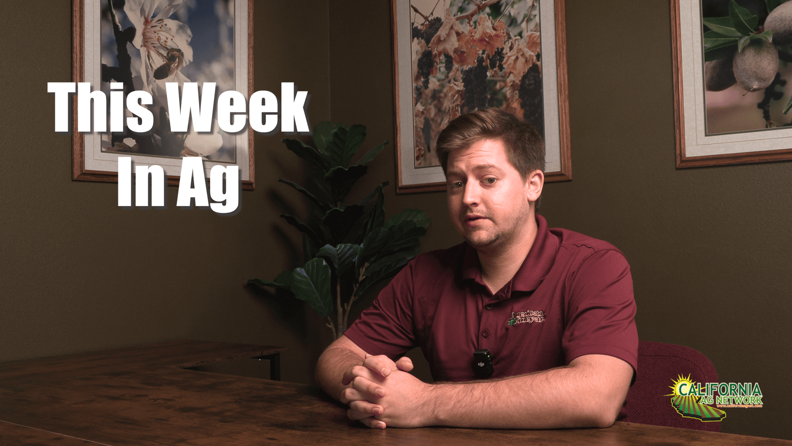 This Week in Ag - September 16