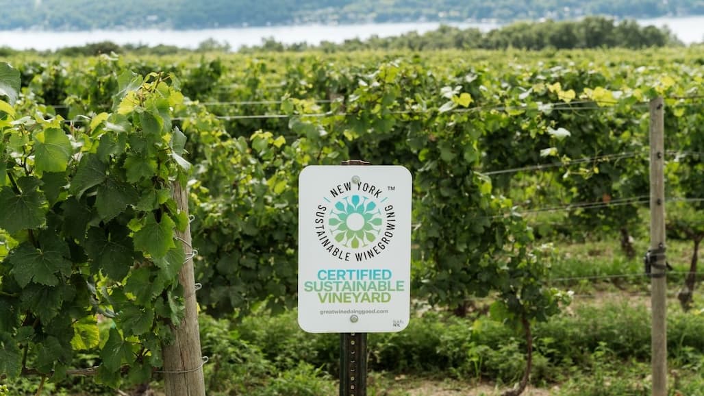 New York Sustainable Winegrowing Program