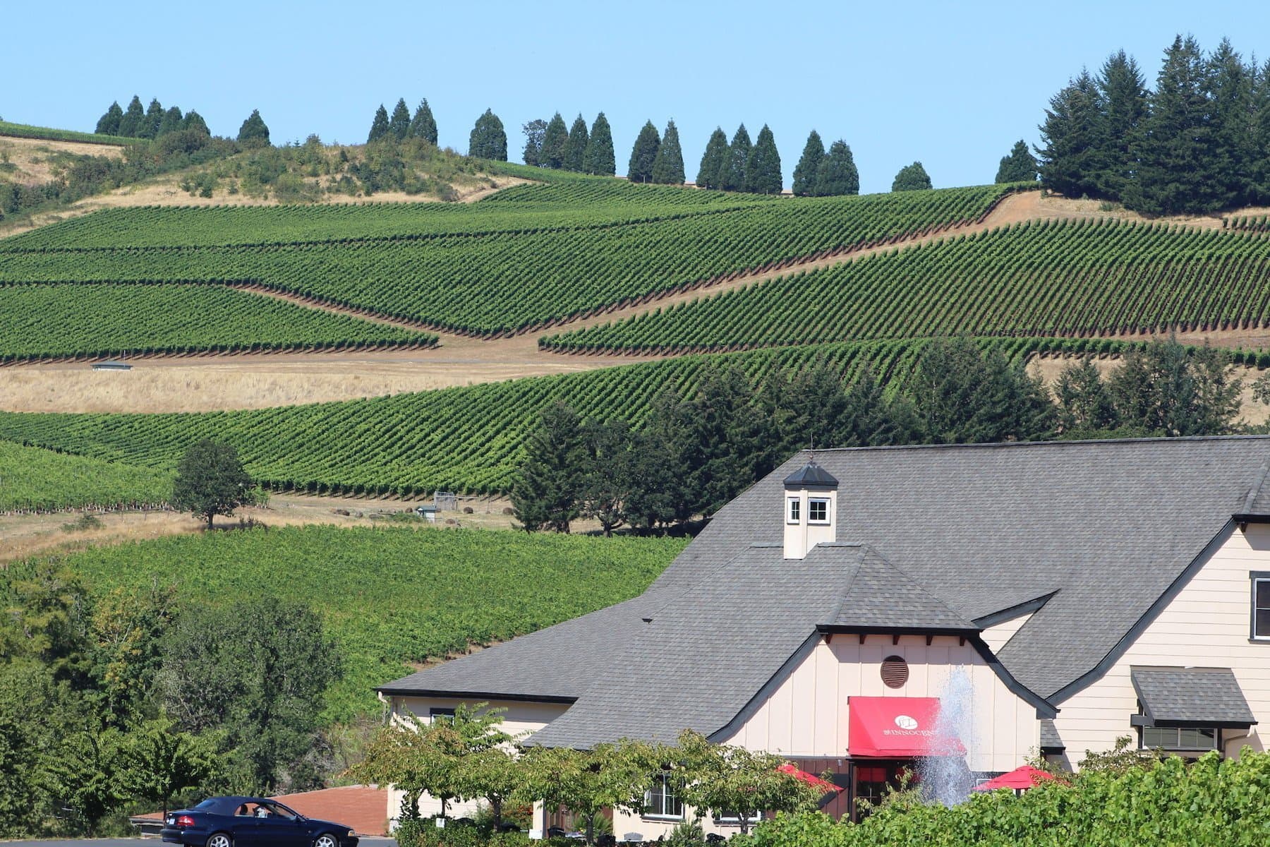 Tax Relief & Deductions for Wineries this Year