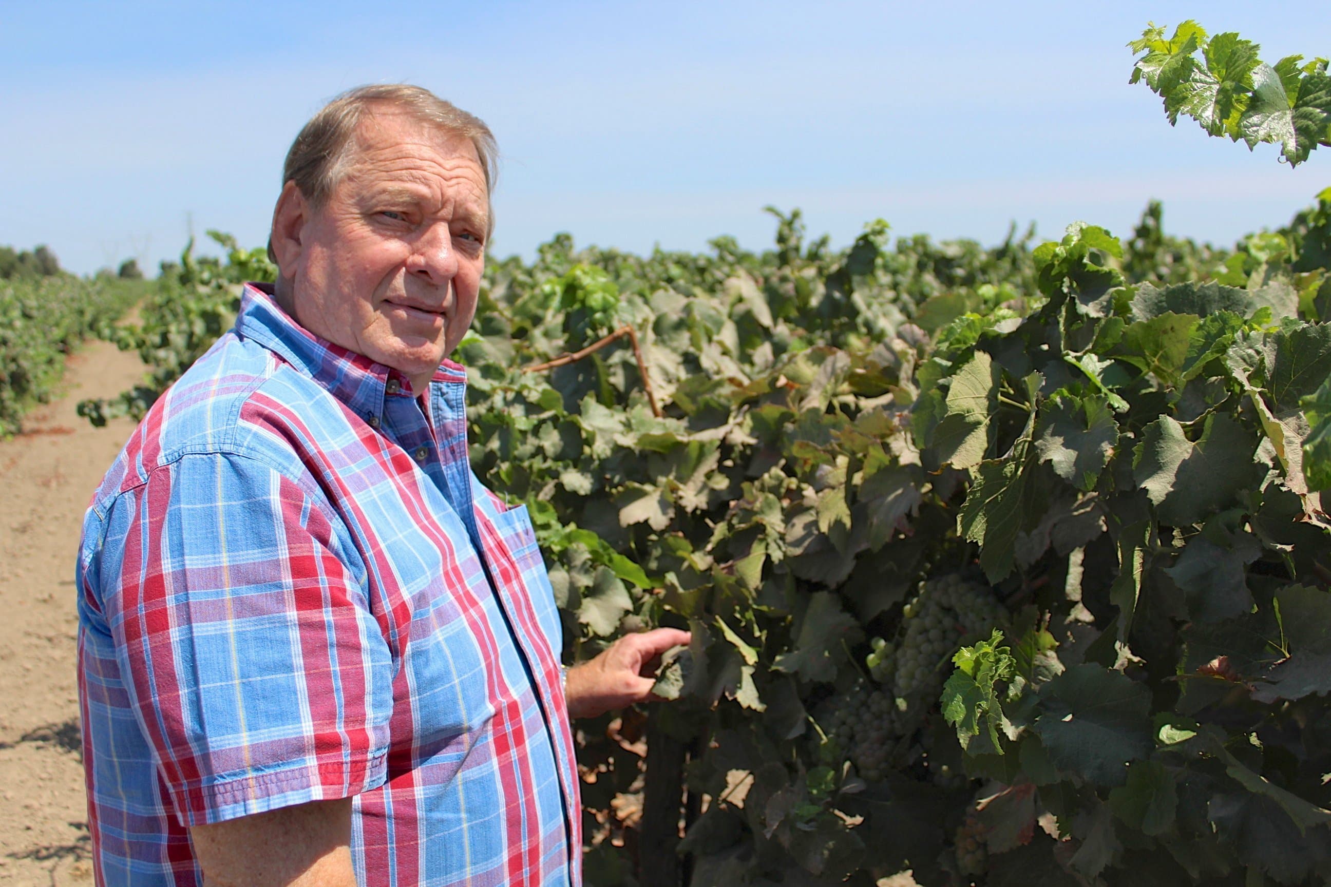 World-Renown Grapevine Pathogen & Disease Researcher Doug Gubler