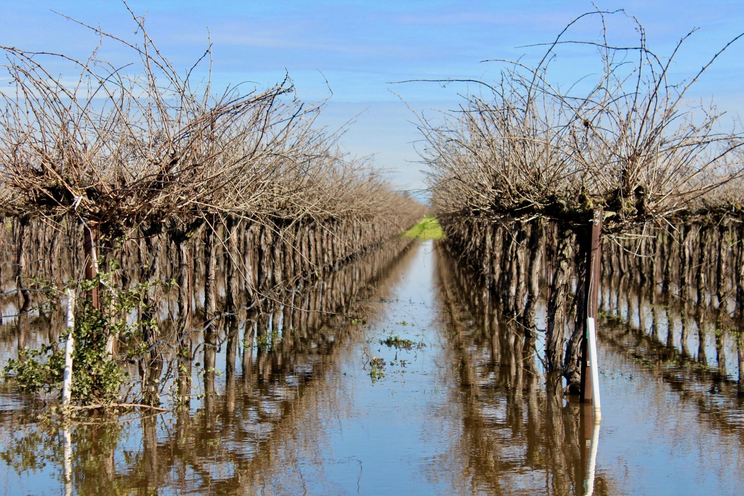 Maximizing Use of Water Stored in Soil Could Result in Savings for Farmers