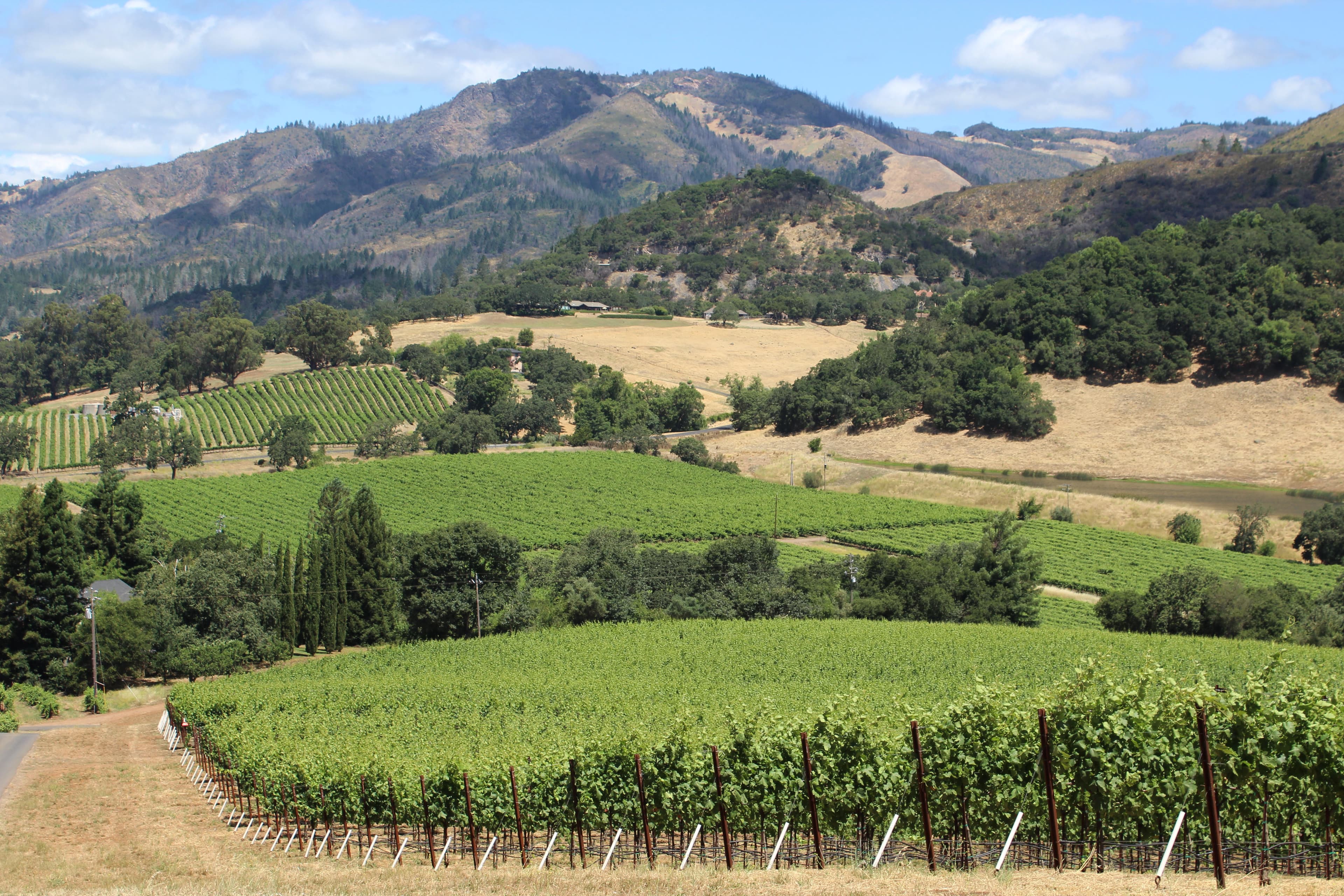 CAWG Seeks State Support for Wine & Viticulture Research at Legislative Hearing