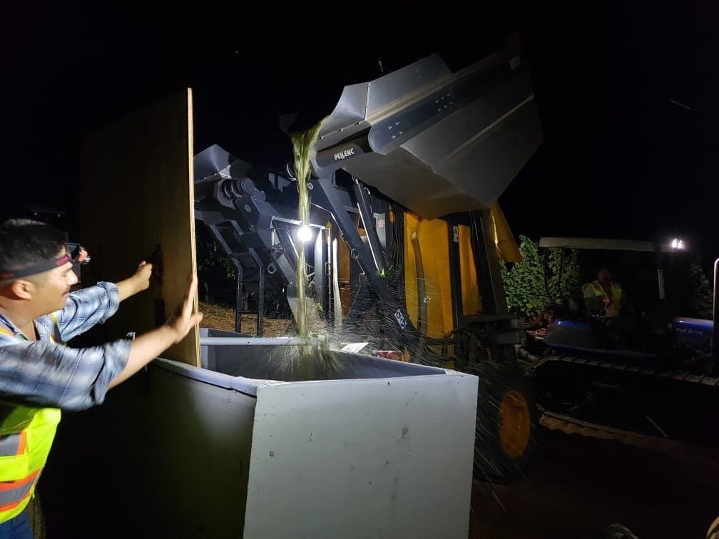 2019 Harvest Gets Underway in Lake County