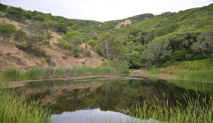 USDA Announces $15 Million for Conservation Innovation Grants