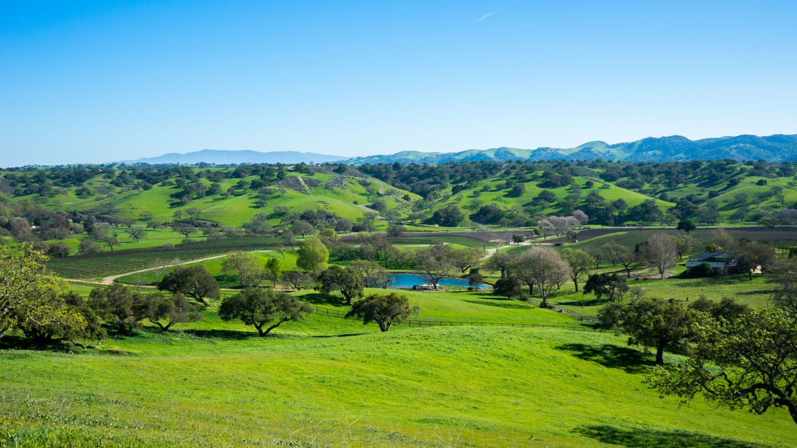 New AVA Approved For Santa Barbara Wine Country