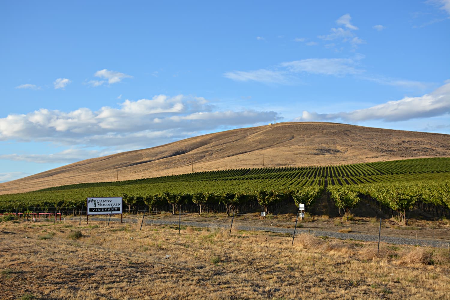Candy Mountain is Washington’s Newest American Viticultural Area