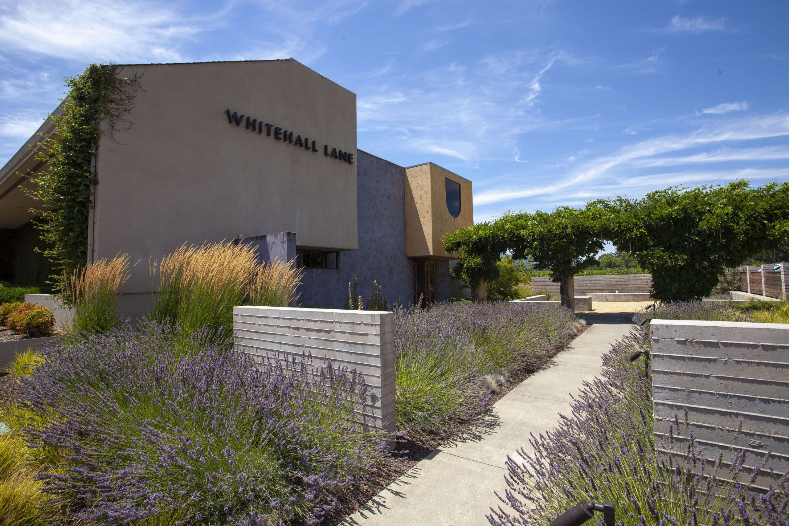 Whitehall Lane Winery Released the First-Ever Camminare Noir and Paseante Noir Wines Made from California’s Newest Sustainable Grape Varieties Developed at UC Davis