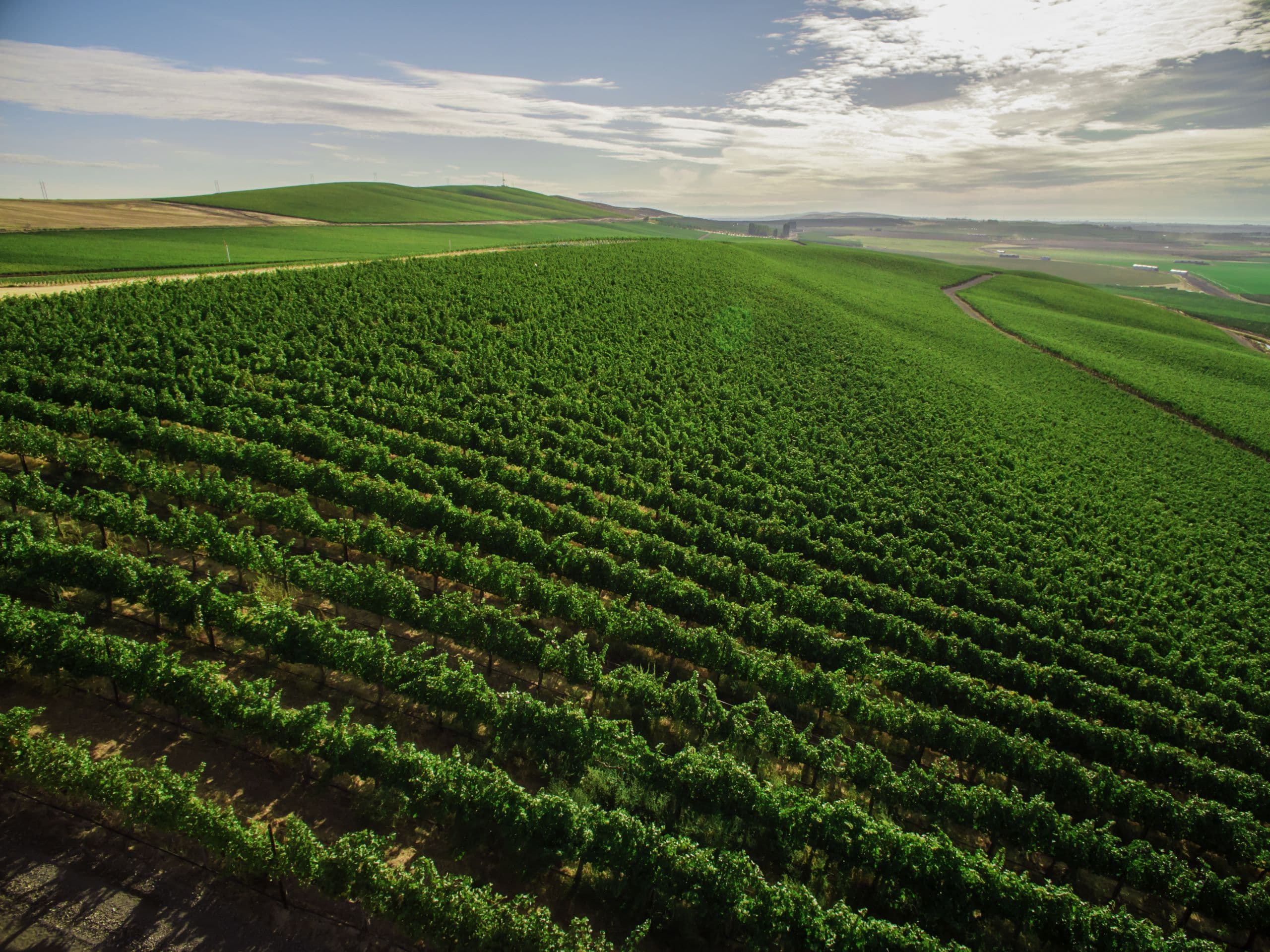 Washington’s Royal Slope Becomes an American Viticultural Area