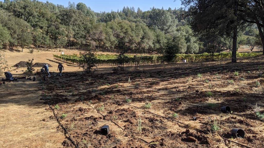 Bee Habitat Installation on California Vineyards
