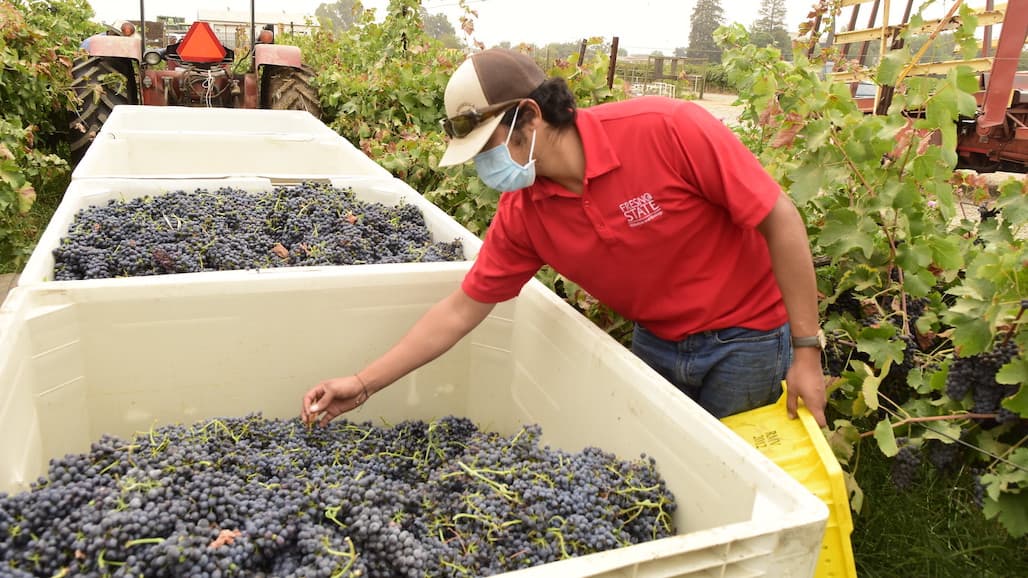 Viticulture Greenhouse Groundbreaking to be Livestreamed