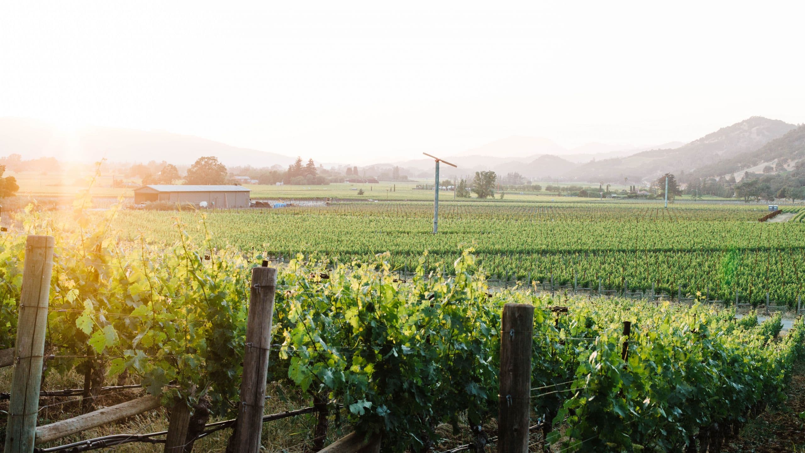 NAPA Valley Grapegrowers & NAPA Valley Farmworker Foundation Reach Millions Through Covid-19 Response
