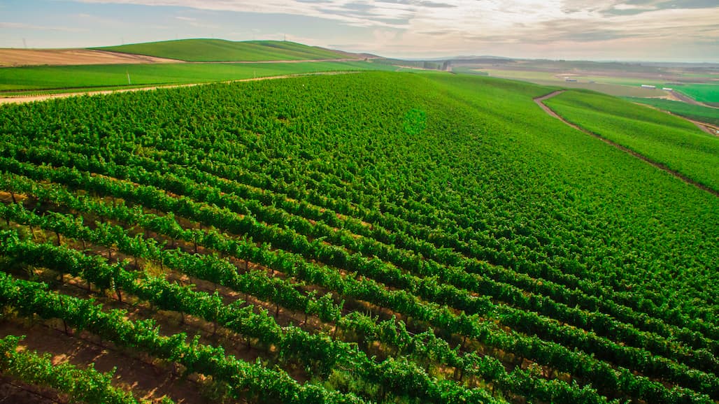 Washington WAVEx Crop Estimation Webinar