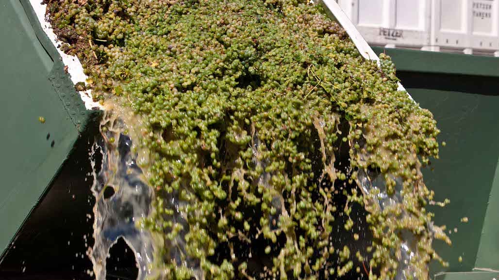 Wine-Grape Residue May Serve as a Healthy Byproduct
