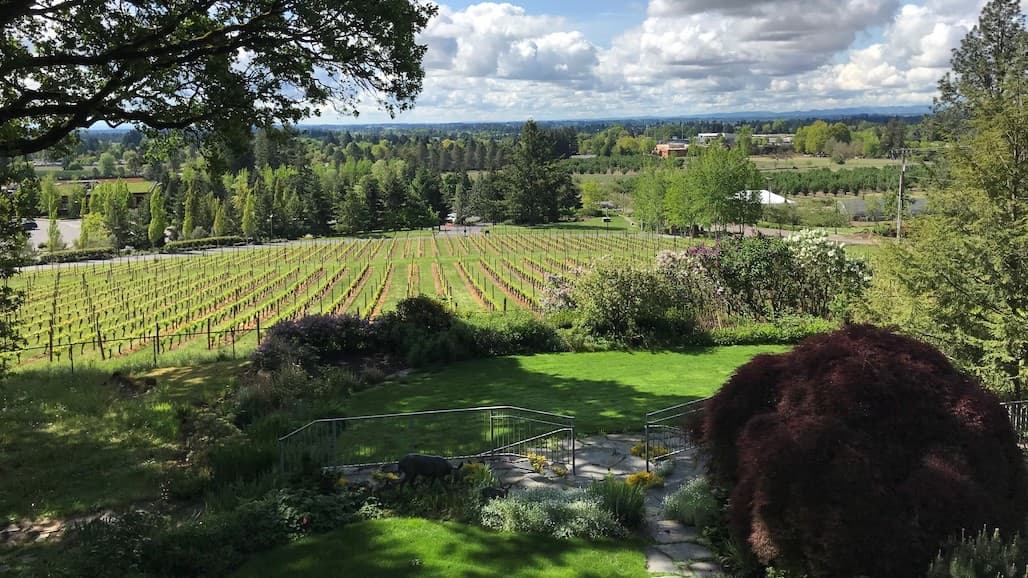 Willamette Valley Rain Dance Vineyards Opens Newly Designed Tasting Room