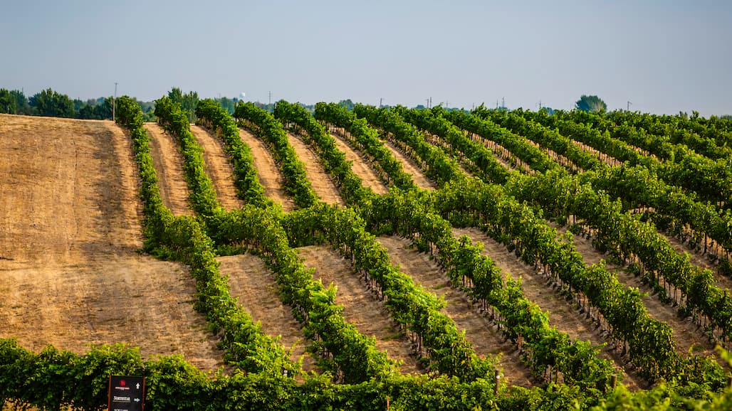 Walla Walla Valley Successfully Defends Its Title, Named ‘Best Wine Region’ By USA Today